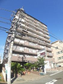 ＩＮＳＵＲＡＮＣＥ　ＢＬＤＧ．ＩＩＩ 10階建