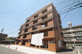 フィレンツェ高針