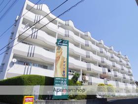 静岡県浜松市中央区幸２ 5階建 築34年7ヶ月
