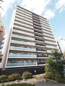 ＭＯＤＩＥＲ　ＨＡＴＡＧＡＹＡ