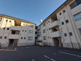 静岡県浜松市中央区和合北１ 3階建 築41年4ヶ月