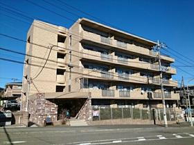 神奈川県横浜市緑区鴨居７ 5階建 築16年10ヶ月