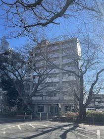 神奈川県相模原市中央区矢部１ 8階建 築34年4ヶ月