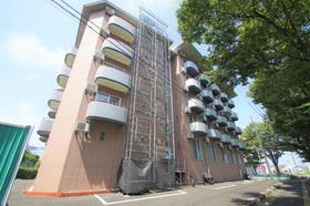 宮城県仙台市若林区古城３ 5階建 築21年2ヶ月