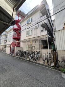 ゴールドクレスト