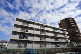 静岡県浜松市中央区初生町 4階建 築29年6ヶ月