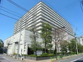 東京都中央区月島１ 13階建 築39年11ヶ月