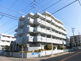 愛知県名古屋市昭和区前山町３ 5階建 築36年7ヶ月
