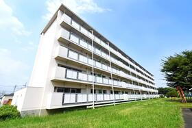 栃木県佐野市堀米町 5階建 築38年9ヶ月