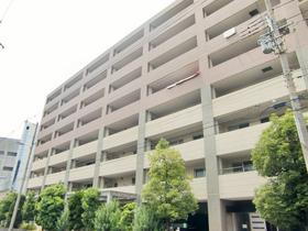 セザール平野 8階建