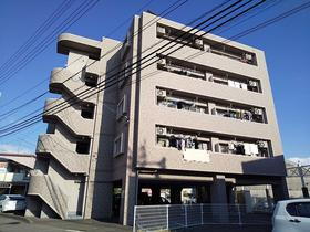 愛媛県松山市小坂５ 5階建 築16年5ヶ月