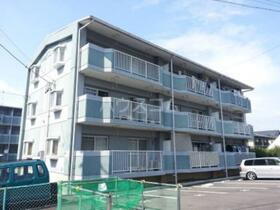 ヴィンテージ本多　ＩＩＩ