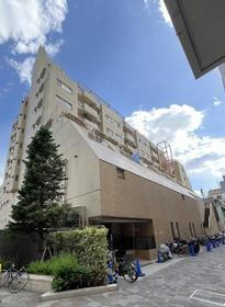 東京都品川区小山３ 地上8階地下1階建 築41年11ヶ月