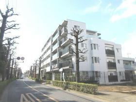 東京都小金井市本町５ 5階建 築7年6ヶ月