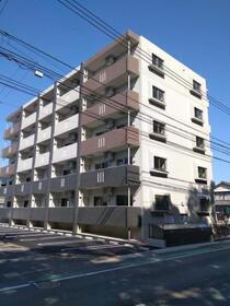 ファヴィオ博物館前 5階建