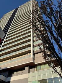 東京都江戸川区平井５ 地上29階地下1階建 築1年2ヶ月