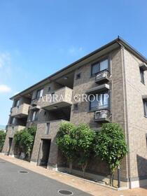 ジャーマンアイリス　ＩＩ