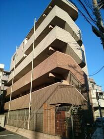 フリーデ 5階建