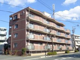 静岡県浜松市浜名区中条 4階建 築17年1ヶ月