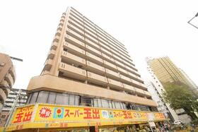 大阪府大阪市中央区高津２ 13階建