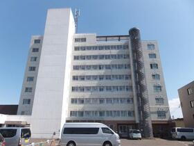 北海道札幌市白石区菊水元町五条２ 賃貸マンション