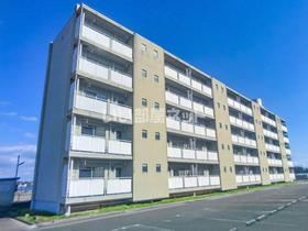 徳島県小松島市立江町 5階建 築49年4ヶ月