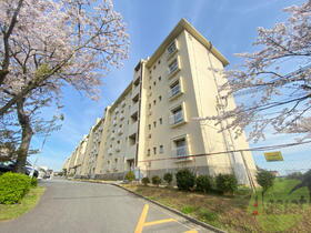 兵庫県神戸市垂水区南多聞台８ 5階建 築57年5ヶ月