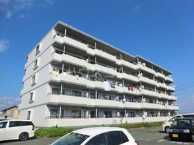 静岡県浜松市中央区西丘町 5階建 築30年3ヶ月