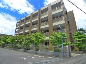 アンプルール　フェール　ＣＯＣＯ