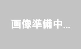 東京都墨田区業平４ 2階建 築60年11ヶ月