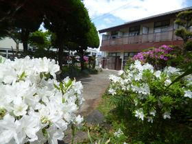 アオイホワイト 地上2階地下1階建