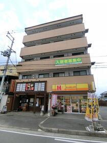 パライッソ和光