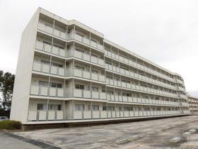 鳥取県境港市渡町 5階建 築46年9ヶ月