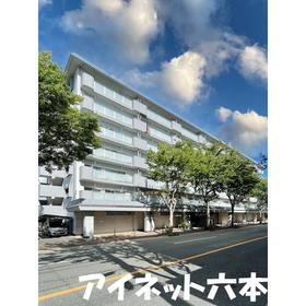 福岡県福岡市城南区堤１ 9階建 築46年4ヶ月