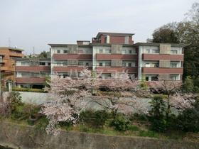 愛知県名古屋市昭和区五軒家町 5階建 築23年3ヶ月