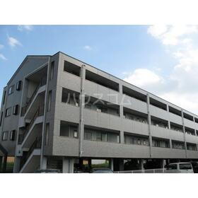 ゴールデンエイジ