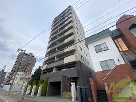 北海道札幌市中央区南三条西２２ 11階建 築16年5ヶ月
