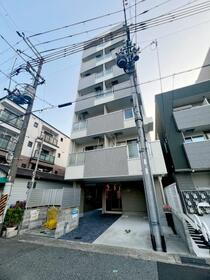 コートベルフラワー