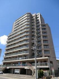 千葉県松戸市東松戸３ 14階建