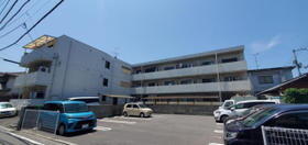 愛媛県松山市美沢２ 3階建 築39年11ヶ月