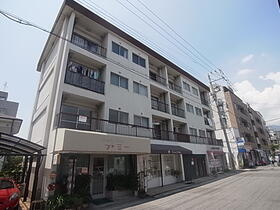 兵庫県神戸市東灘区魚崎北町２ 築55年9ヶ月 4階建