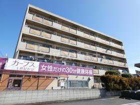 千葉県松戸市二十世紀が丘丸山町 5階建 築37年5ヶ月