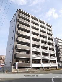 グレイスピア菊陽６ 10階建