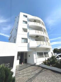 湘南槇町ＬＩＣＨＴ　ＨＡＵＳ