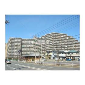 埼玉県深谷市上野台 15階建 築33年5ヶ月