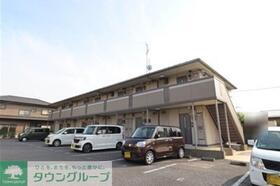 ステラコート