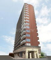 大阪府大阪市浪速区恵美須西1 15階建 築1年5ヶ月