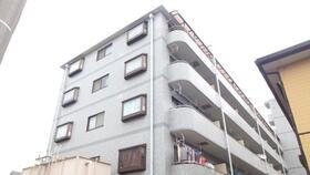 アフィニス原木