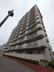 愛知県名古屋市天白区道明町 6階建 築47年3ヶ月