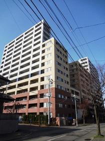 北海道札幌市豊平区月寒中央通１１ 15階建 築19年11ヶ月